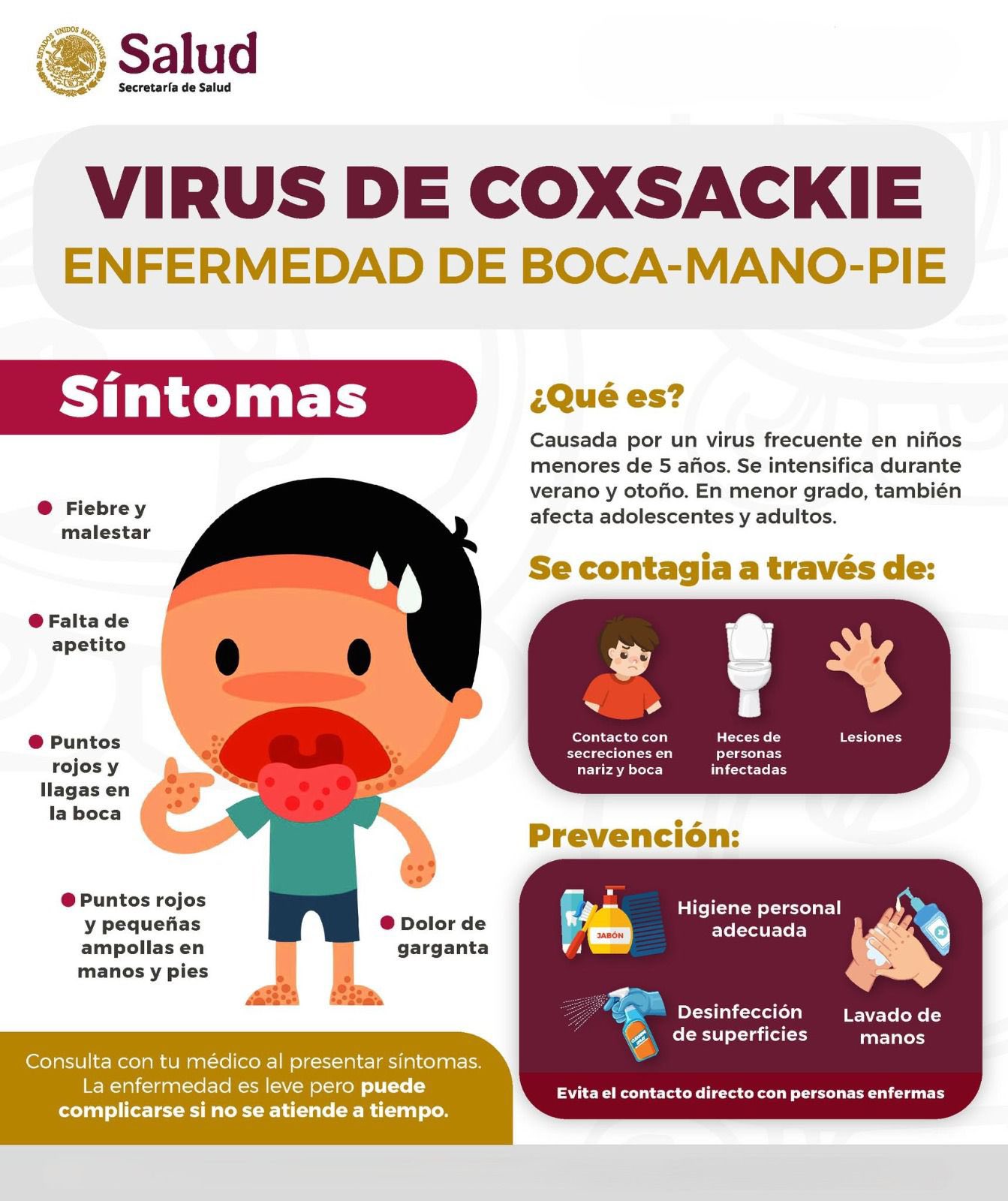 VIRUS DE COXSACKIE