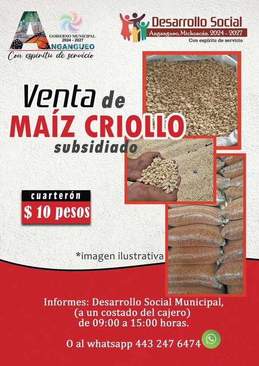 VENTA DE MAÍZ CRIOLLO A BAJO COSTO