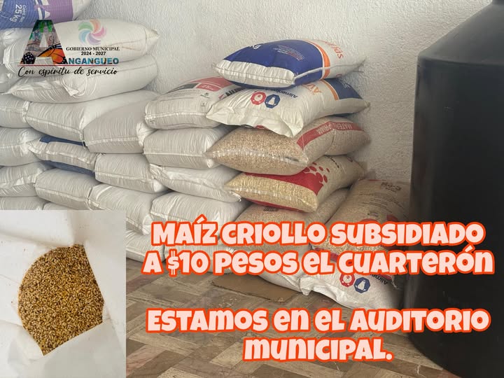 MAÍZ CRIOLLO SUBSIDIADO